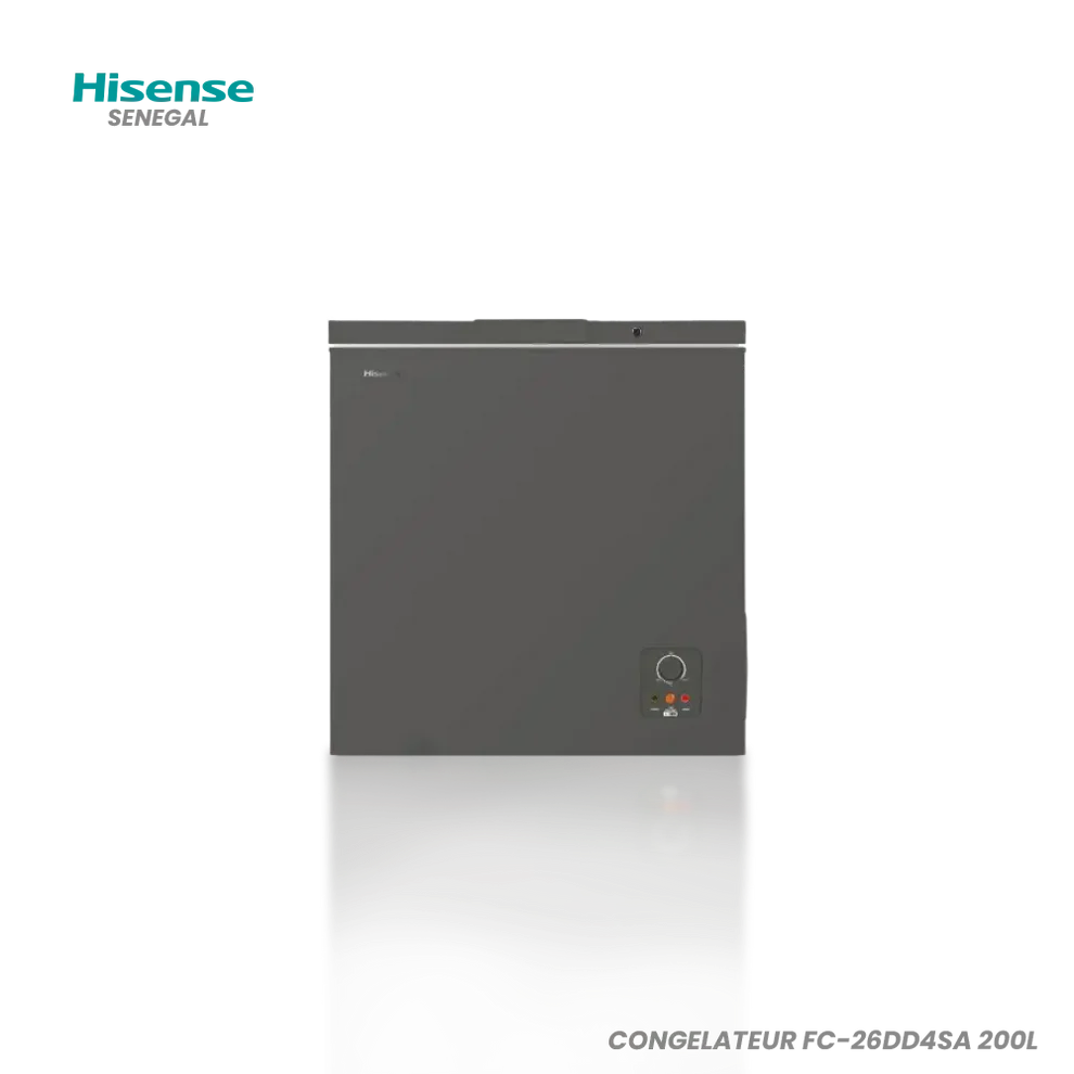  Hisense FC-20DD4HA
